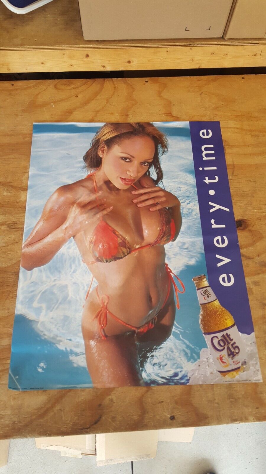 Colt 45 Malt Liquor Sexy Girl Bikini Beer Poster