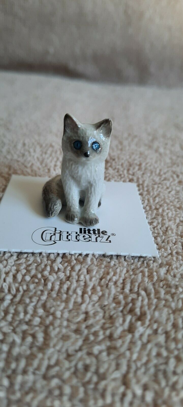 Little Critterz Cat Ragdoll Kitten "samantha" Miniature Figurine New Lc902