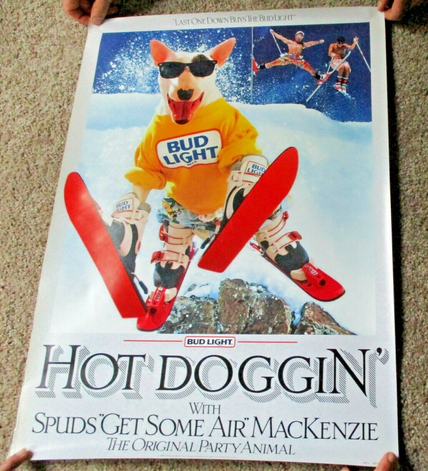 Vintage 1987 Hot Doggin Spuds Mackenzie Bud Light Beer Advertising Beer Poster
